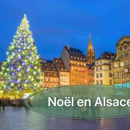Gite Classe 4 Etoiles  La Maison Du Tonnelier Oberbronn エクステリア 写真