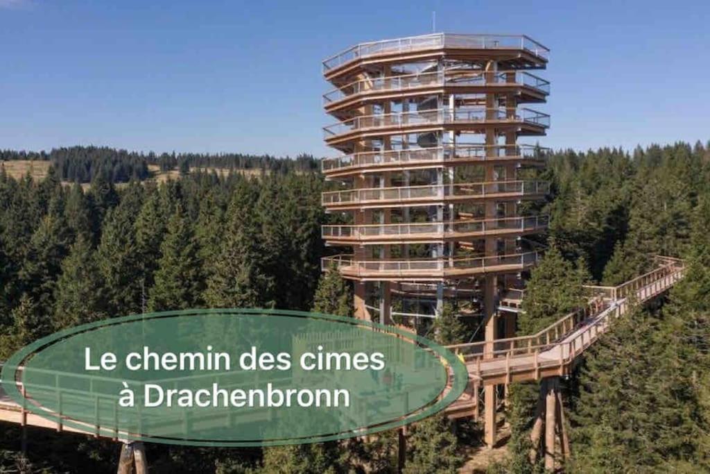 Gite Classe 4 Etoiles  La Maison Du Tonnelier Oberbronn エクステリア 写真