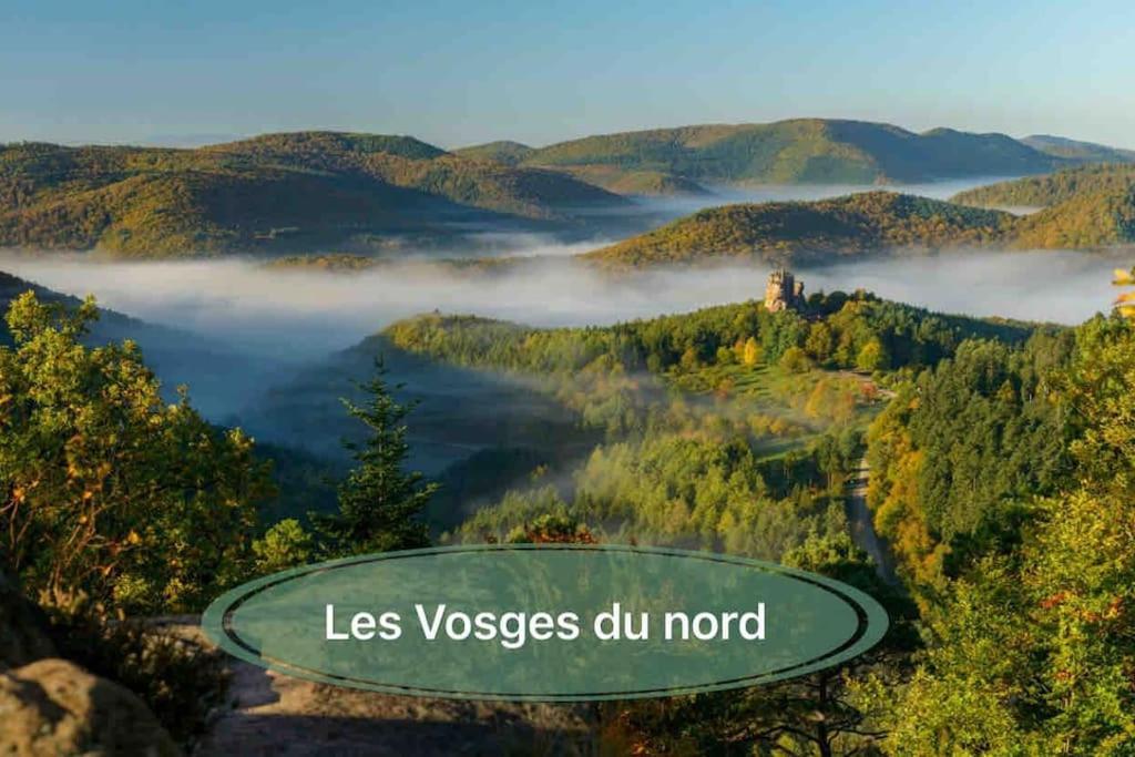 Gite Classe 4 Etoiles  La Maison Du Tonnelier Oberbronn エクステリア 写真
