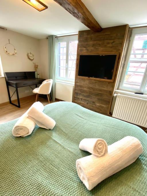 Gite Classe 4 Etoiles  La Maison Du Tonnelier Oberbronn エクステリア 写真