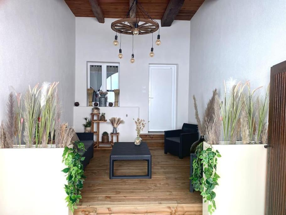 Gite Classe 4 Etoiles  La Maison Du Tonnelier Oberbronn エクステリア 写真