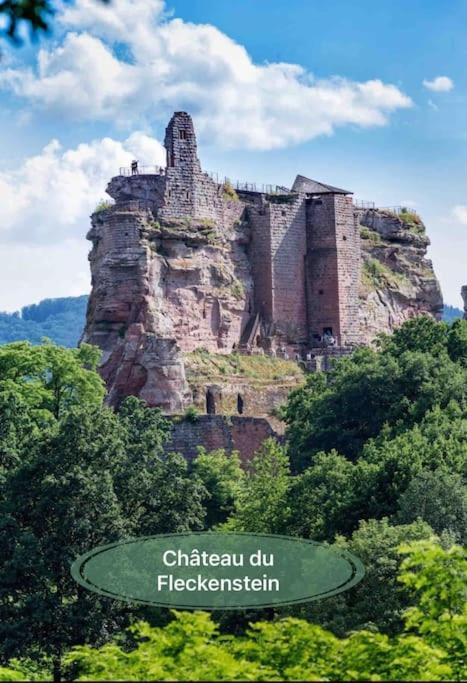 Gite Classe 4 Etoiles  La Maison Du Tonnelier Oberbronn エクステリア 写真